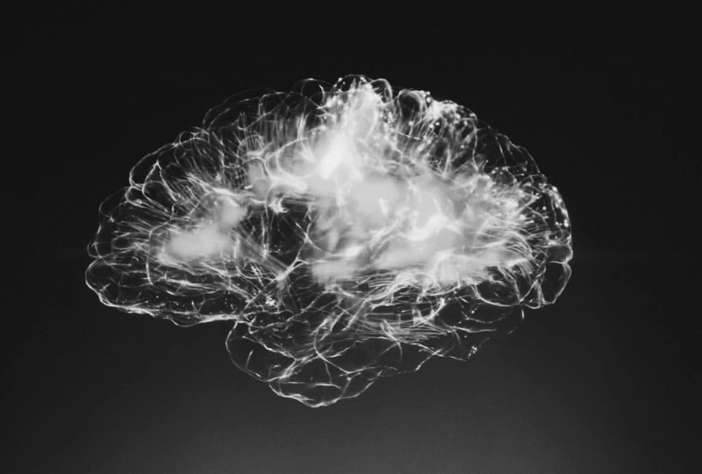 inside of brain